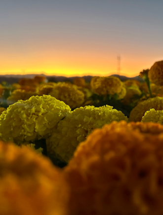 AI-Assisted Image from Tom Feeney's Digital Sandbox